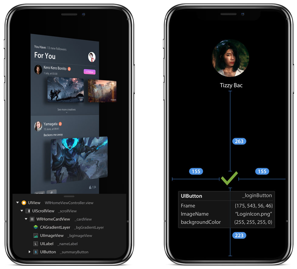 Lookin iOS Lookin iOS